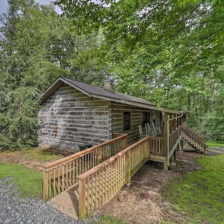 Cozy 'Grey Fox' Cabin Between Boone & Blowing Rock Exteriér fotografie