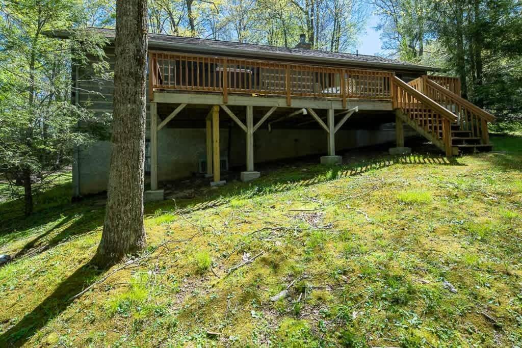 Cozy 'Grey Fox' Cabin Between Boone & Blowing Rock Exteriér fotografie